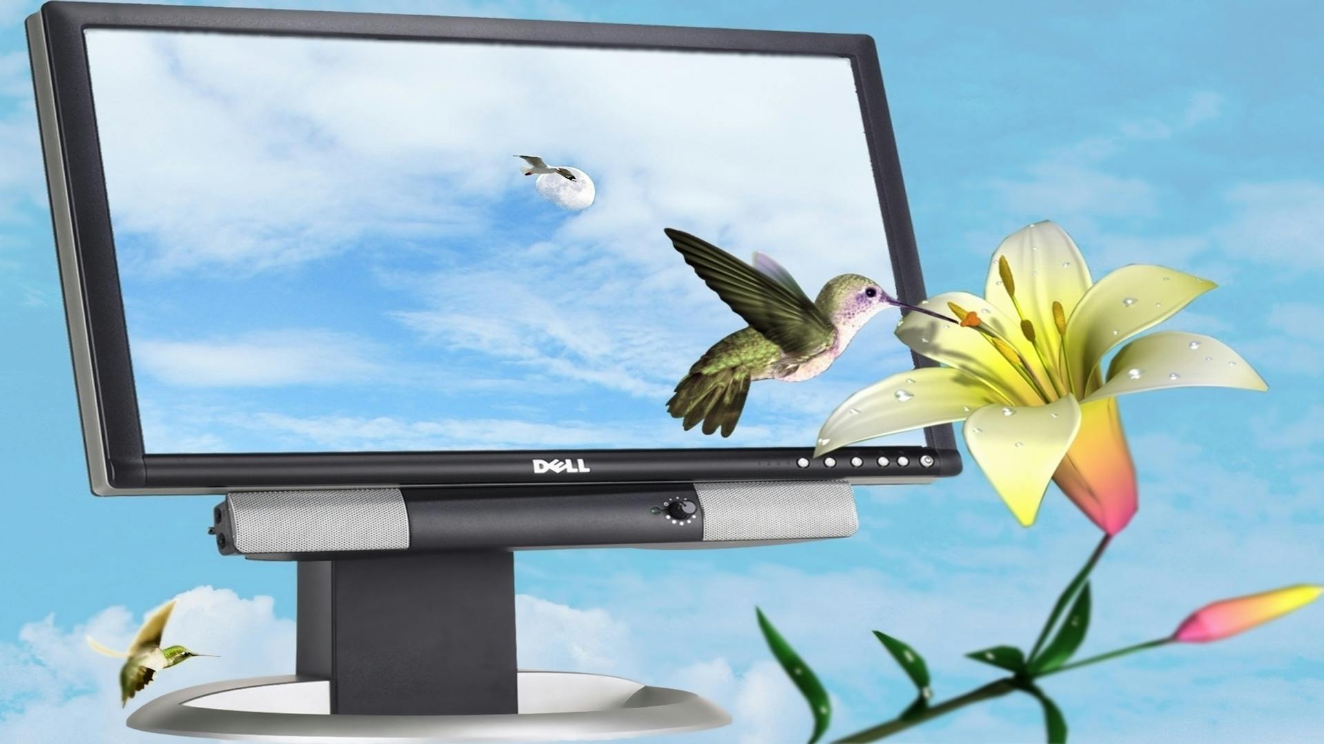 淘机必备！二手电脑测评博主排行榜前十名，谁才是你的避坑指南？