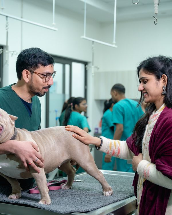 Veterinarian and pet owner checking puppy health in clinic