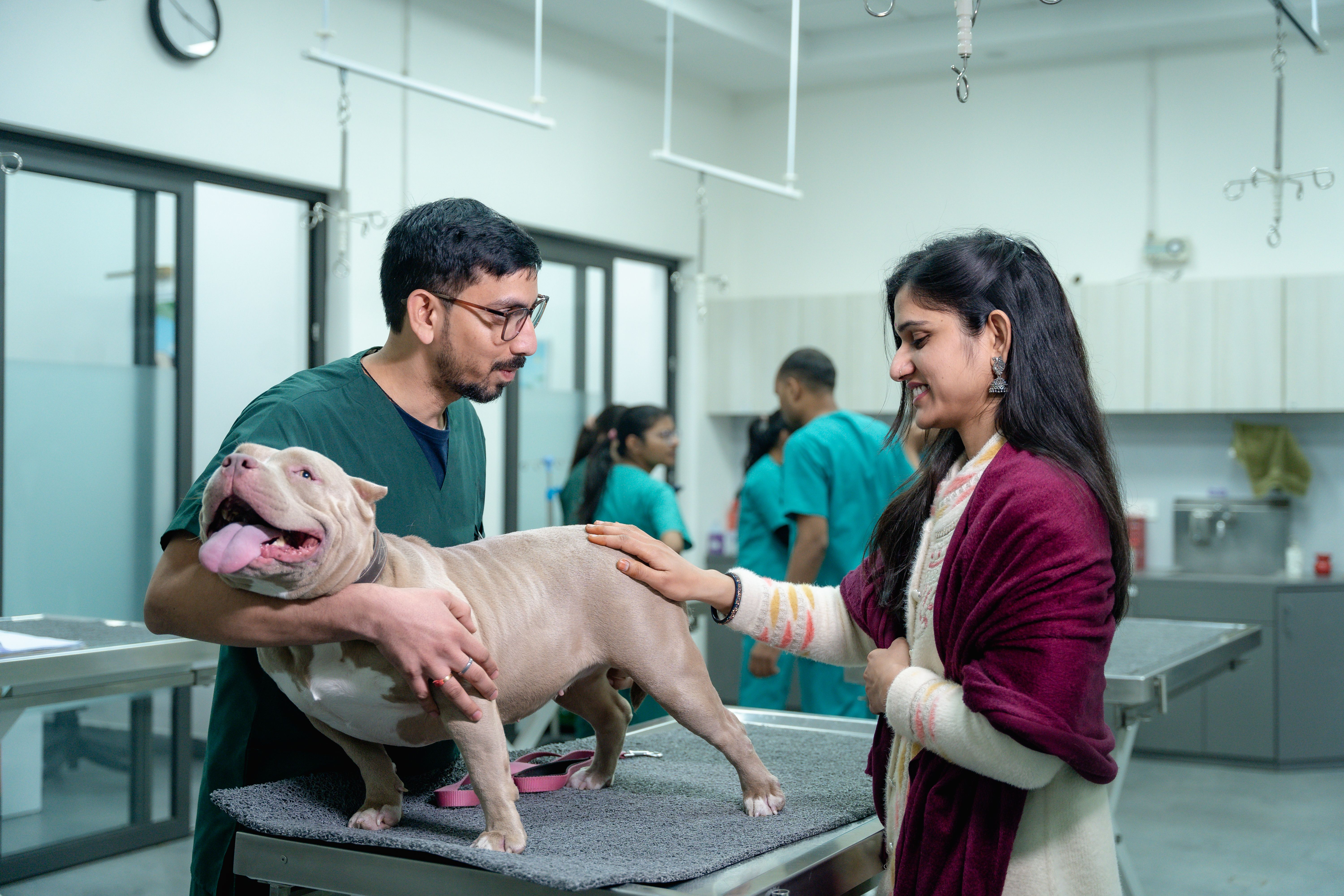 A Woman Petting Her Dog Held by the Vet · Free Stock Photo