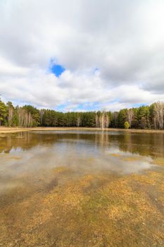 A peaceful lake surrounded by trees under a cloudy sky, capturing a serene forest landscape.