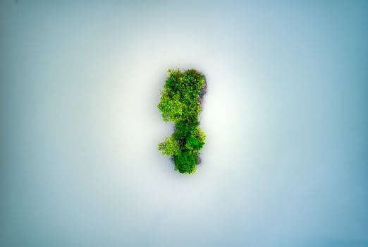 Drone shot capturing an isolated green island amidst the blue ocean, offering a unique perspective from above.