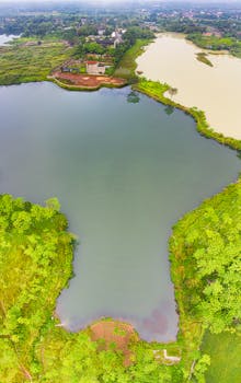 在印度尼西亚万丹，一个宁静的湖泊被郁郁葱葱的绿色植物环绕，从空中俯瞰