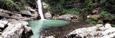 在郁郁葱葱的户外环境中，一道美丽的瀑布倾泻入被岩石包围的宁静泳池