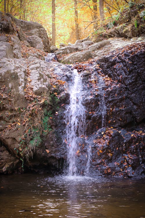 Free stock photo of rocks, waterfall