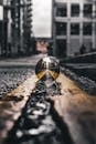 Selective Focus Photo of Lensball On Asphalt Road