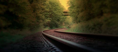 Ilmainen kuvapankkikuva tunnisteilla junanrata, kuvan syvyys, metsä