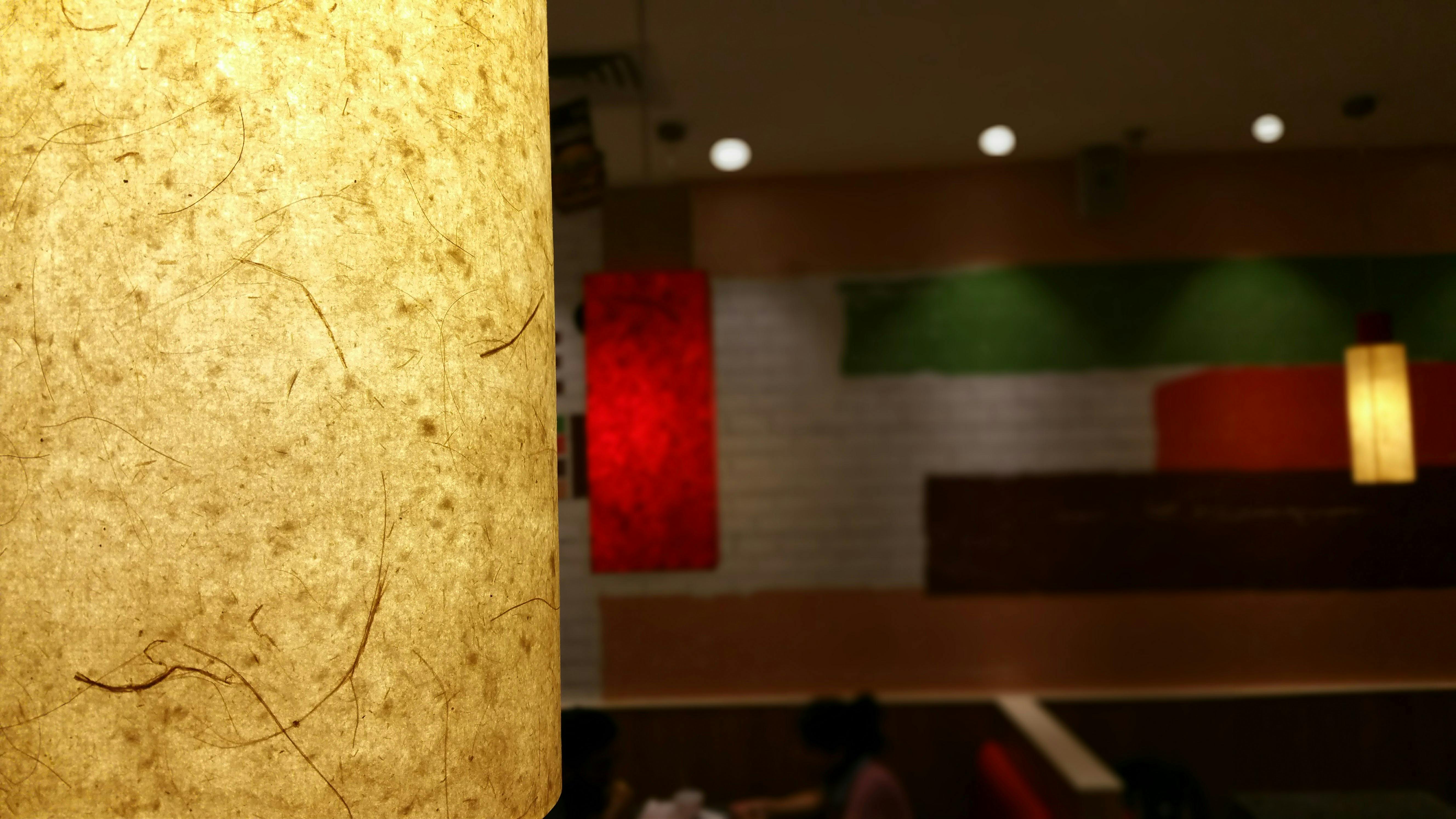 ฟรี คลังภาพถ่ายฟรี ของ # ในร่ม, การต้อนรับขับสู้, การตั้งค่าที่ใกล้ชิด คลังภาพถ่าย