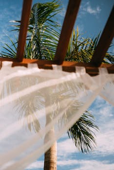 Relaxing view from a cabana featuring palm trees and a blue sky. Perfect for a tropical vacation vibe.