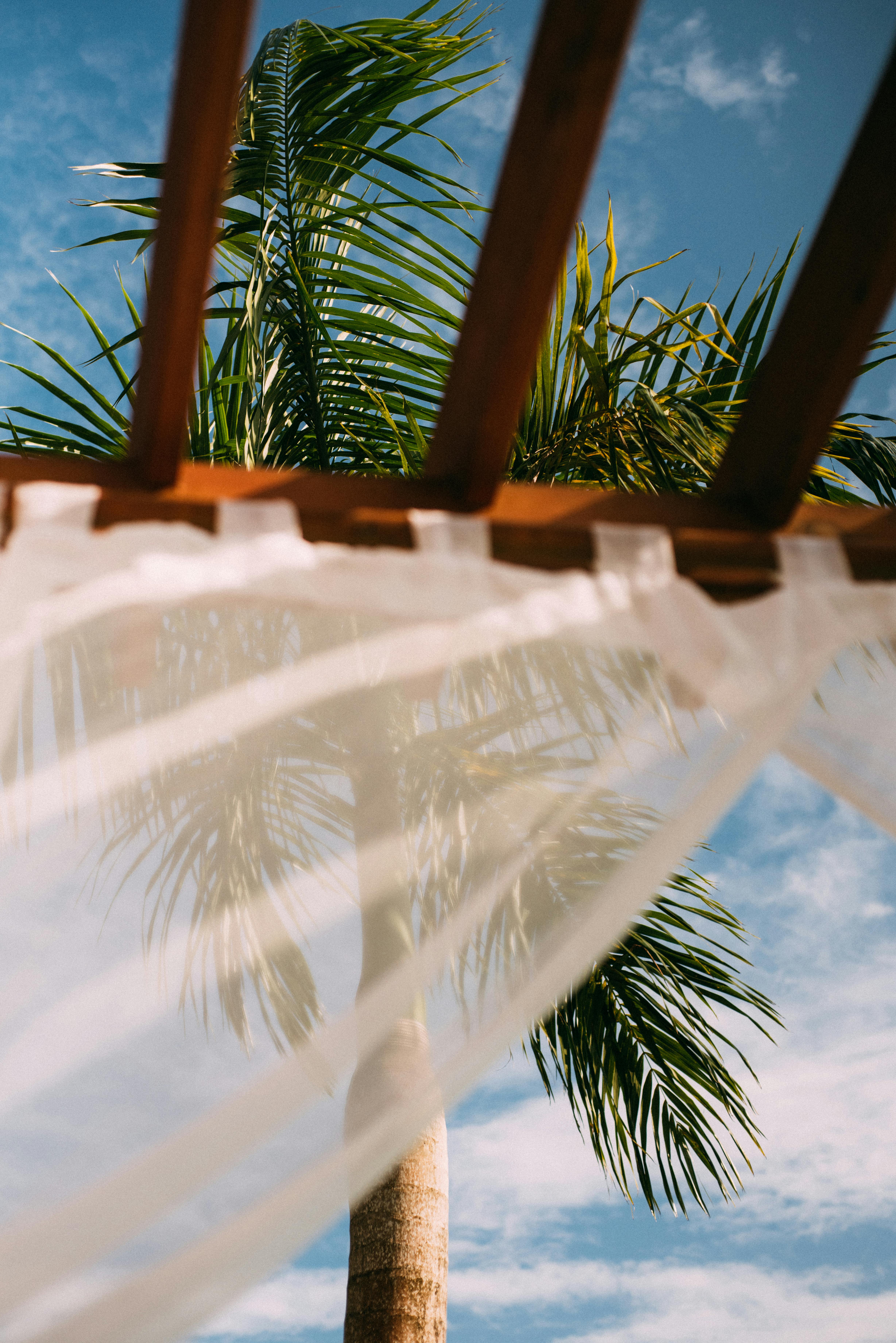 230 Morro Cabana Stock Photos - Free & Royalty-Free Stock Photos