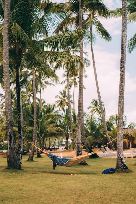 Relax in a hammock under palm trees on a tropical beach.