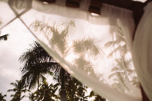 Palm trees seen through white curtains on a sunny day in a tropical setting.