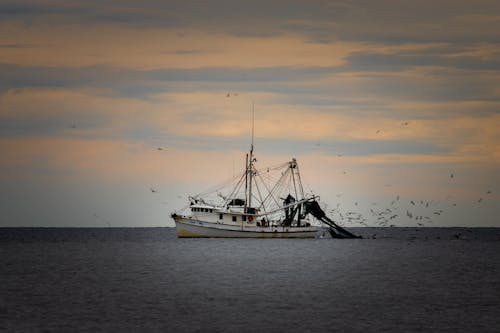 Fishing Boat in Sea at Dawn