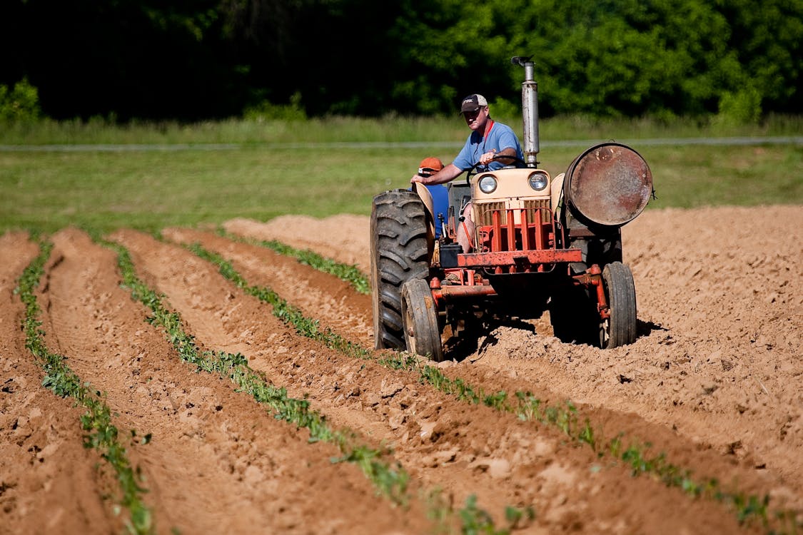 Free Man Riding Red Tractor On Field Stock Photo