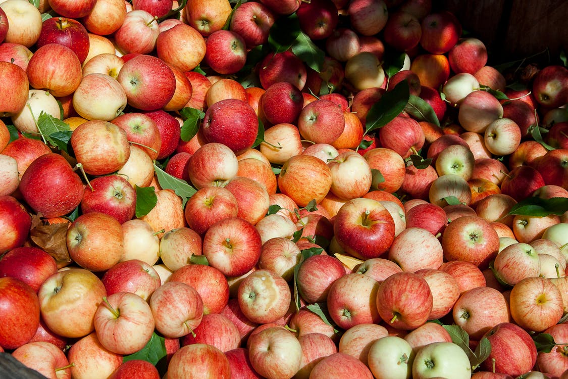 Bunch of Red and Orange Apples