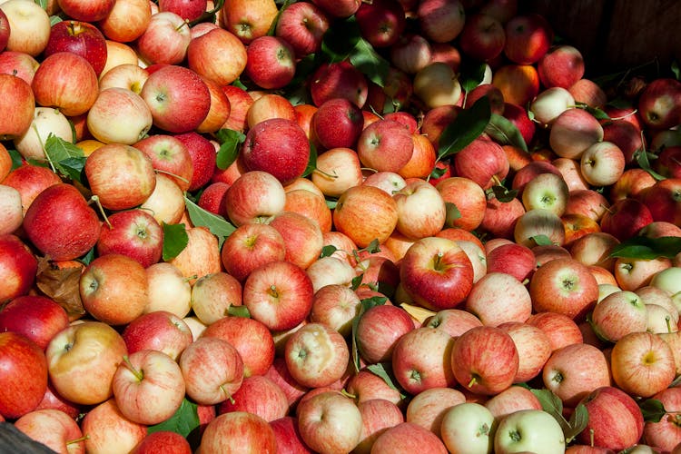 Bunch Of Red And Orange Apples