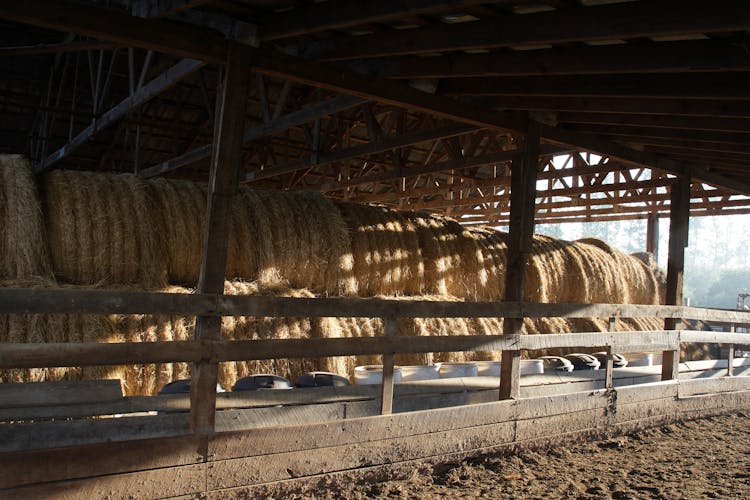 Hay Barn