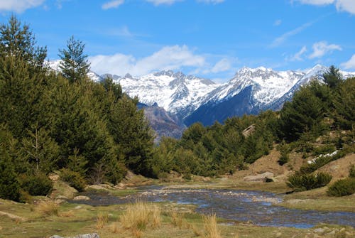 คลังภาพถ่ายฟรี ของ pyrenees, ป่า, ภูเขา