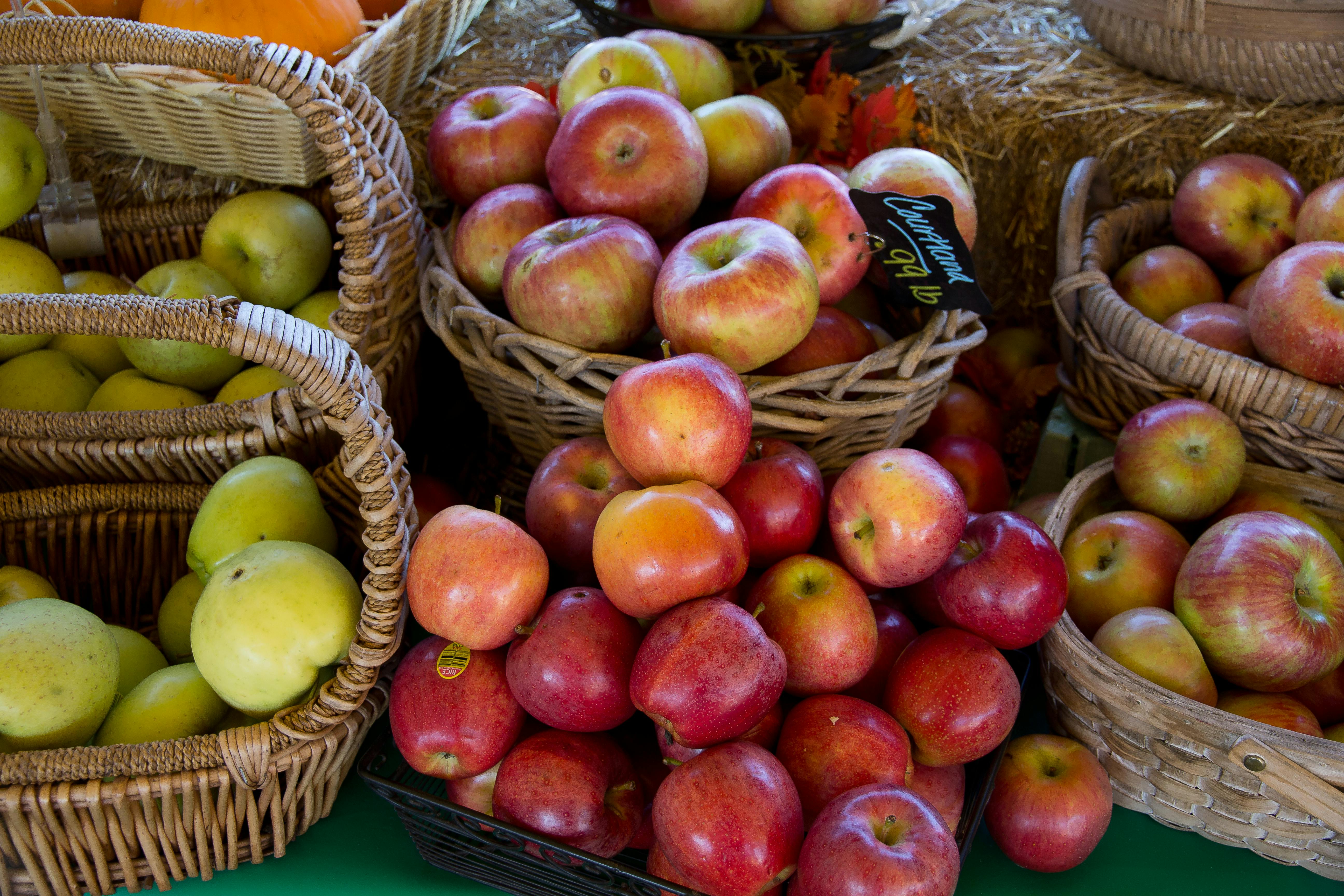 red and green apple fruits