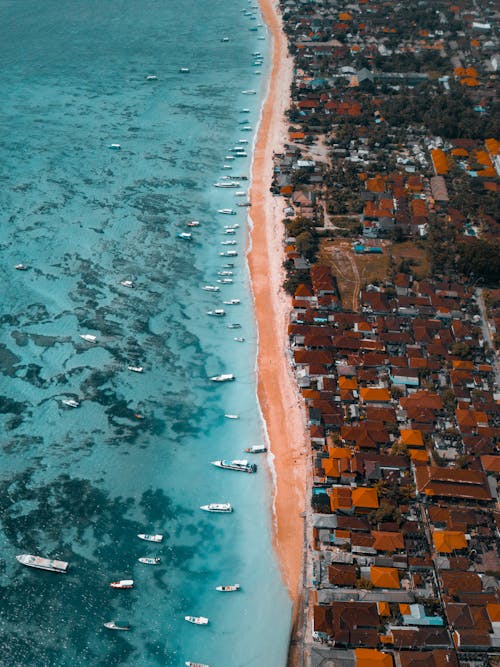 Different Boats on Near Near Houses Vew