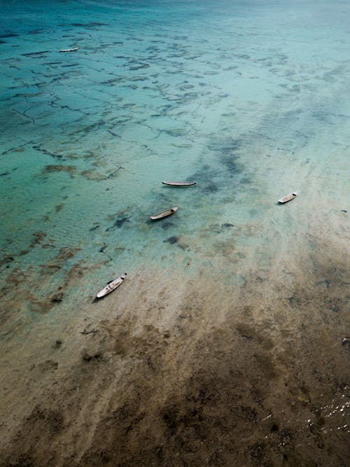 Aerial Shot Of Boats In The Ocean