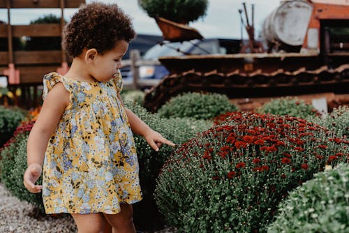 Girl Touching Bush