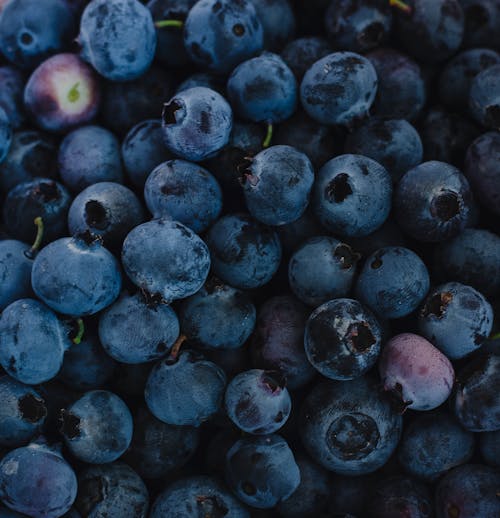Close-up Photo of Blueberries