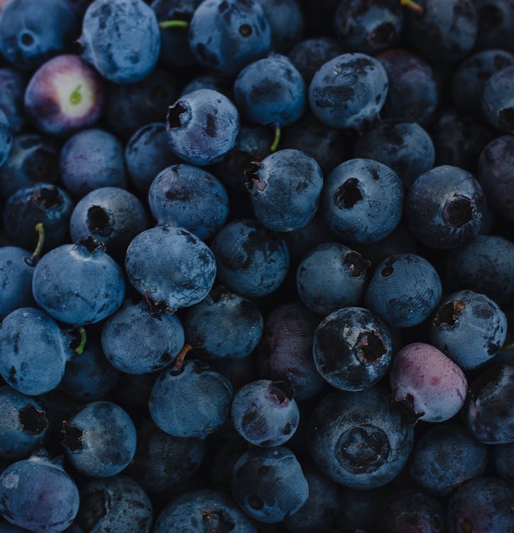 Close-up Photo of Blueberries