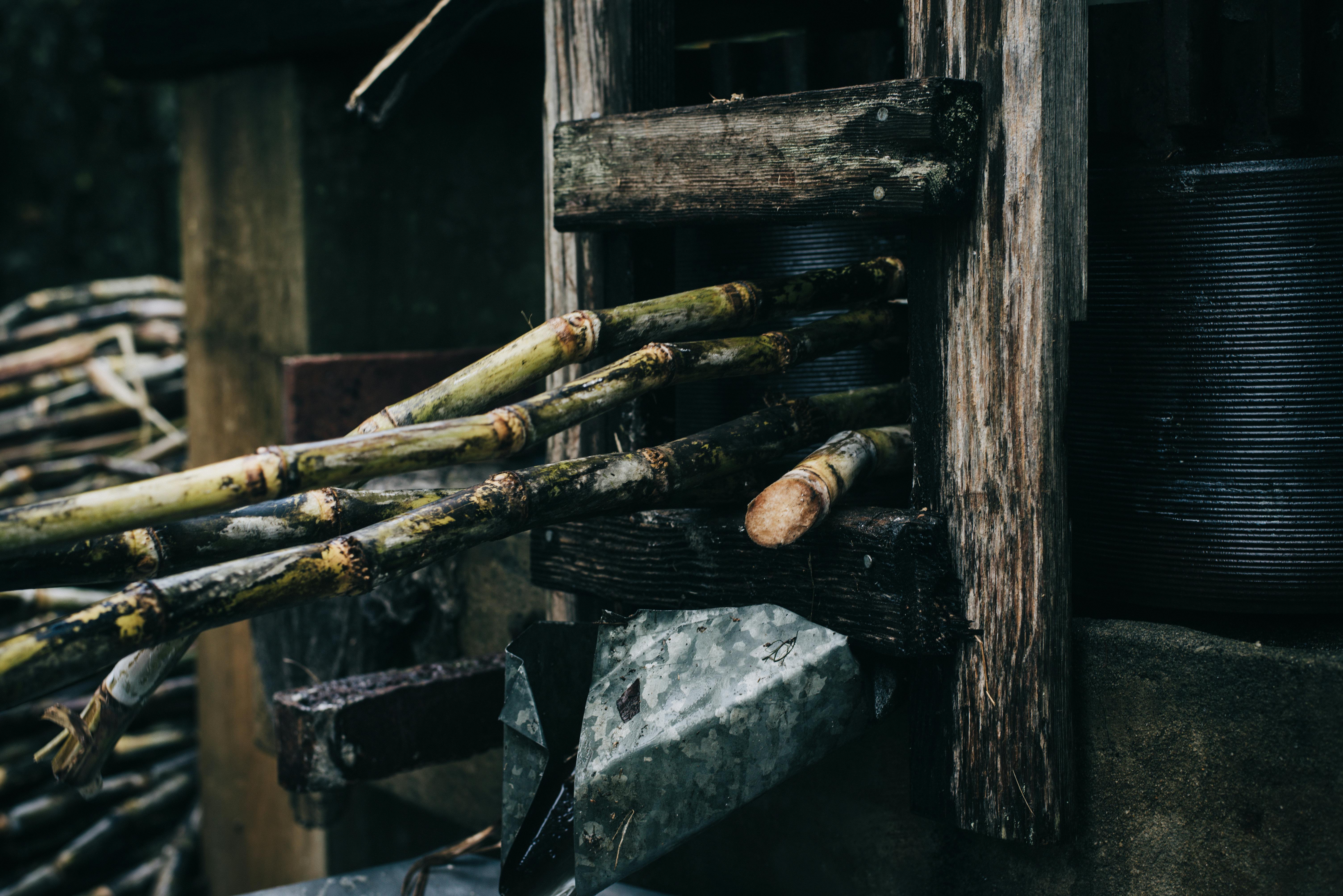 Sugar Canes Being Pressed in the Machine · Free Stock Photo