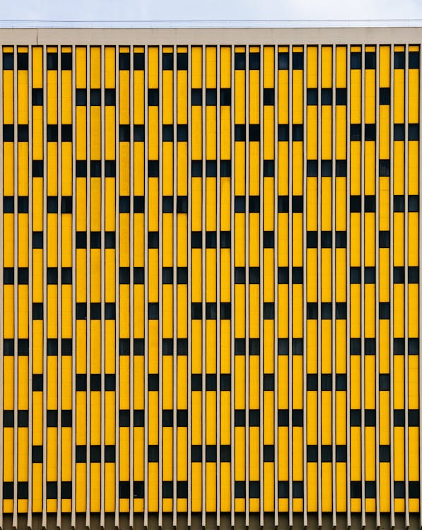 Motif Jaune Et Noir