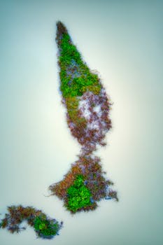 Unique aerial view of lush green and brown island surrounded by tranquil waters, ideal for nature lovers.