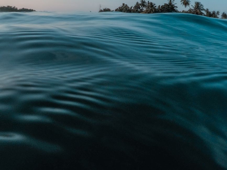 Smooth ocean waves ripple under a serene sunset with distant palm trees.
