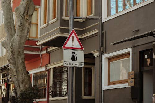 A street sign with a cat on it in front of a building