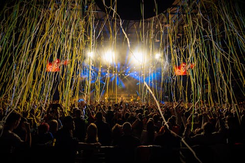 A crowd of people at a concert with confetti