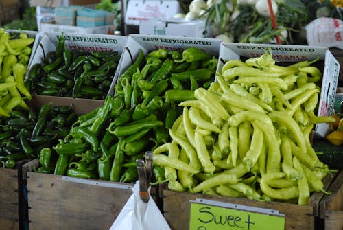 Free Green Chili Peppers Stock Photo