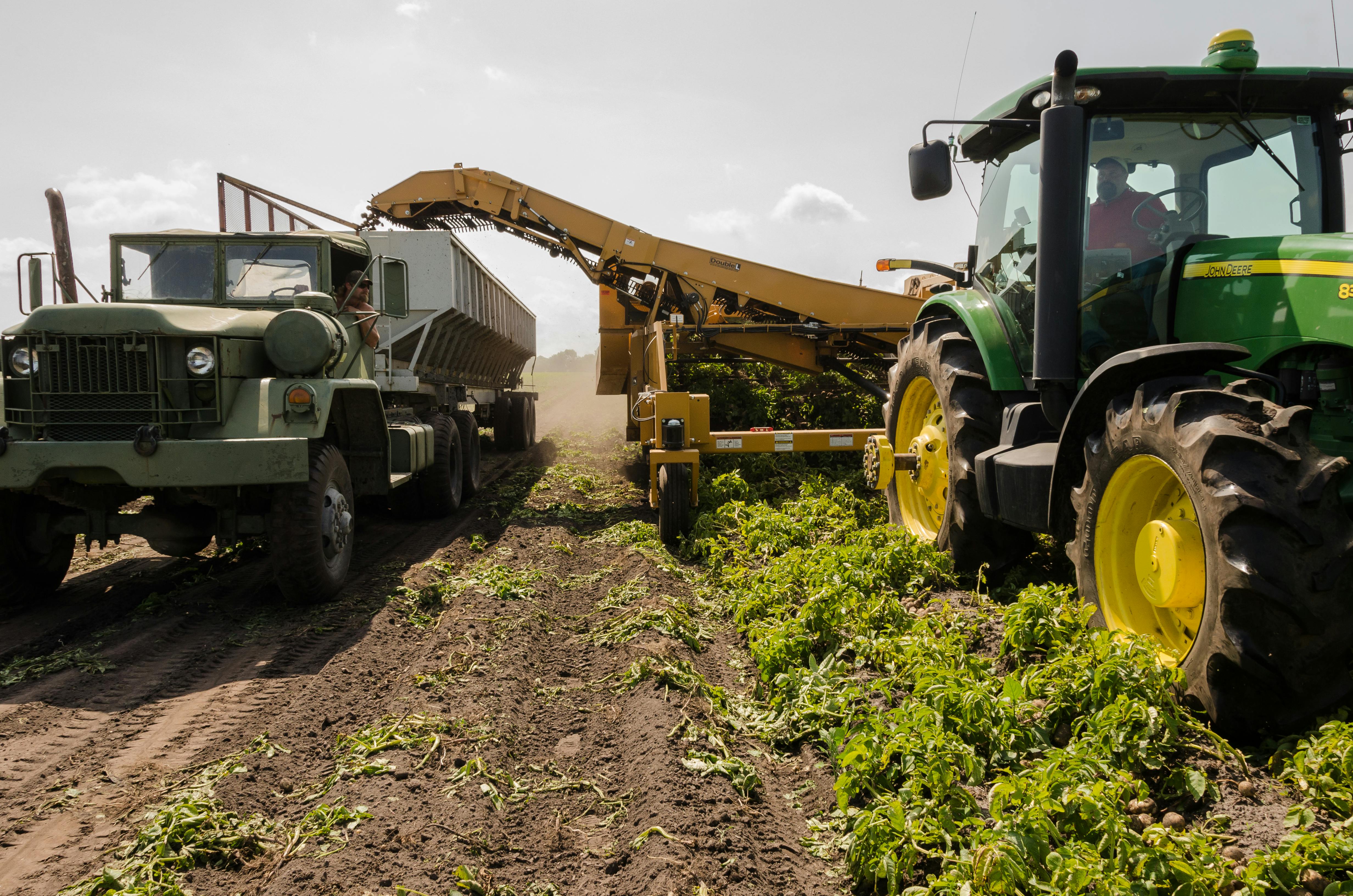 100+] Agriculture Wallpapers | Wallpapers.com