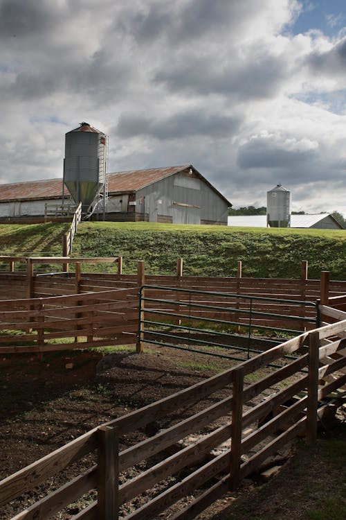 Free Brown Wooden Fence Stock Photo