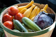 篮子里装满了充满活力的新鲜蔬菜，突显了健康有机的农产品