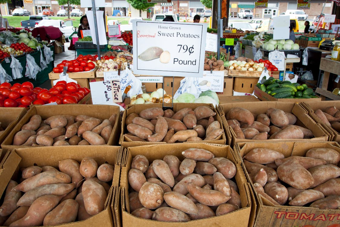 Brown Root Crops on Brown Cardboard Boxes