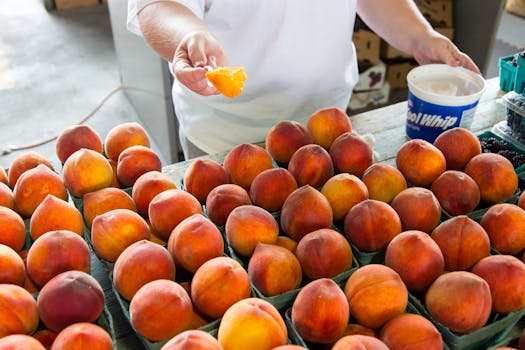 Fresh peaches on display at an NC farmers market with a person selecting a piece.