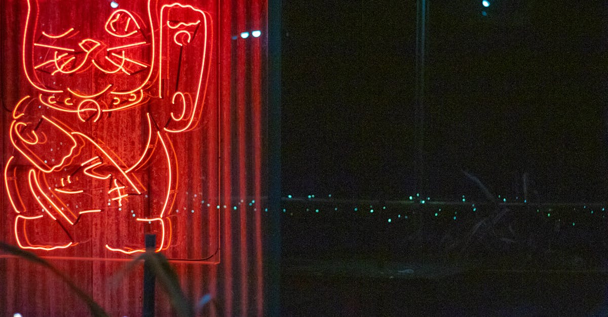 三色貓紅包袋帶來的3.52億幸運💰