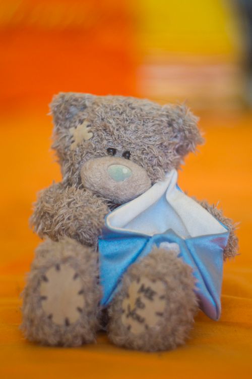 Free stock photo of teddy bear Stock Photo