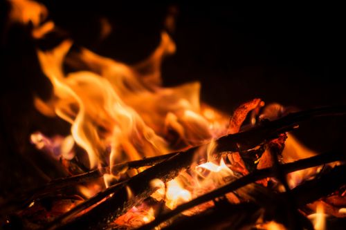 Free stock photo of fire, flame, wood fire Stock Photo