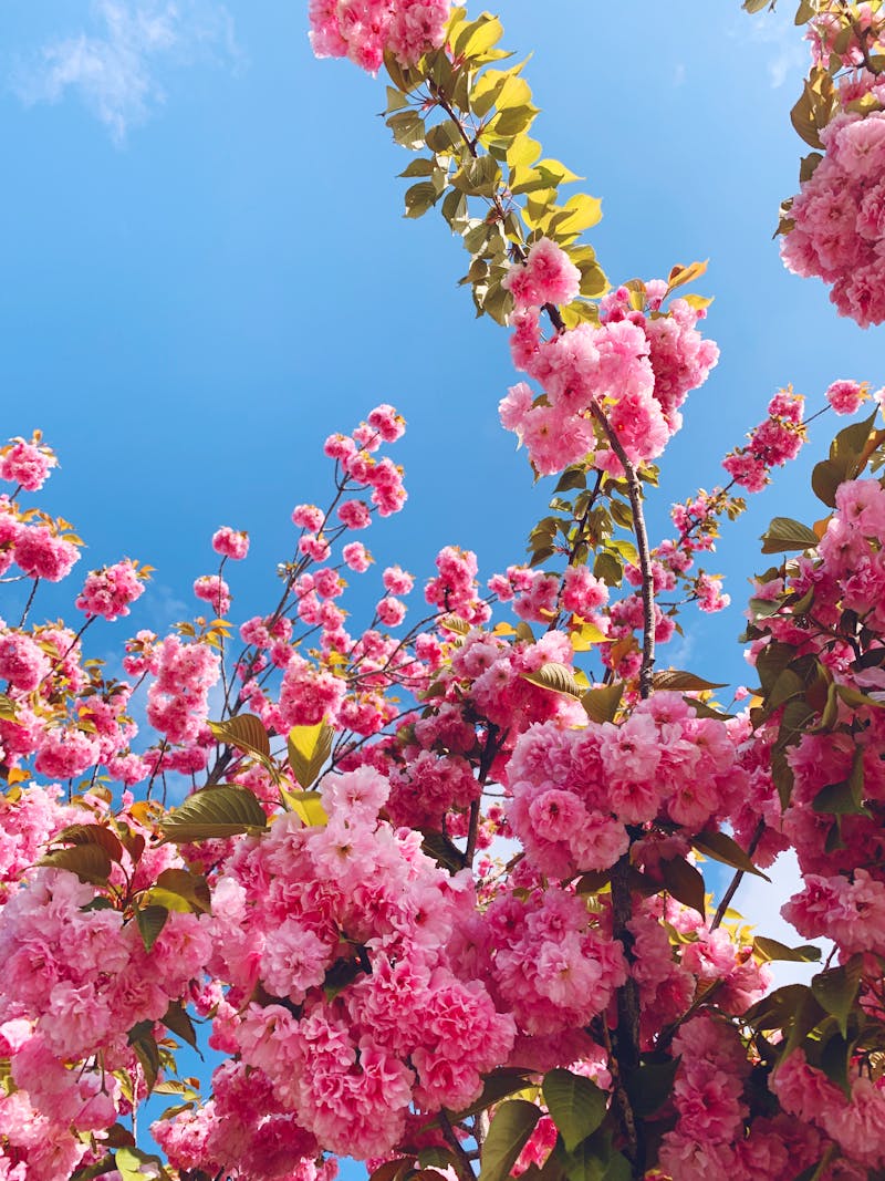 Classical sculpture study in a museum setting