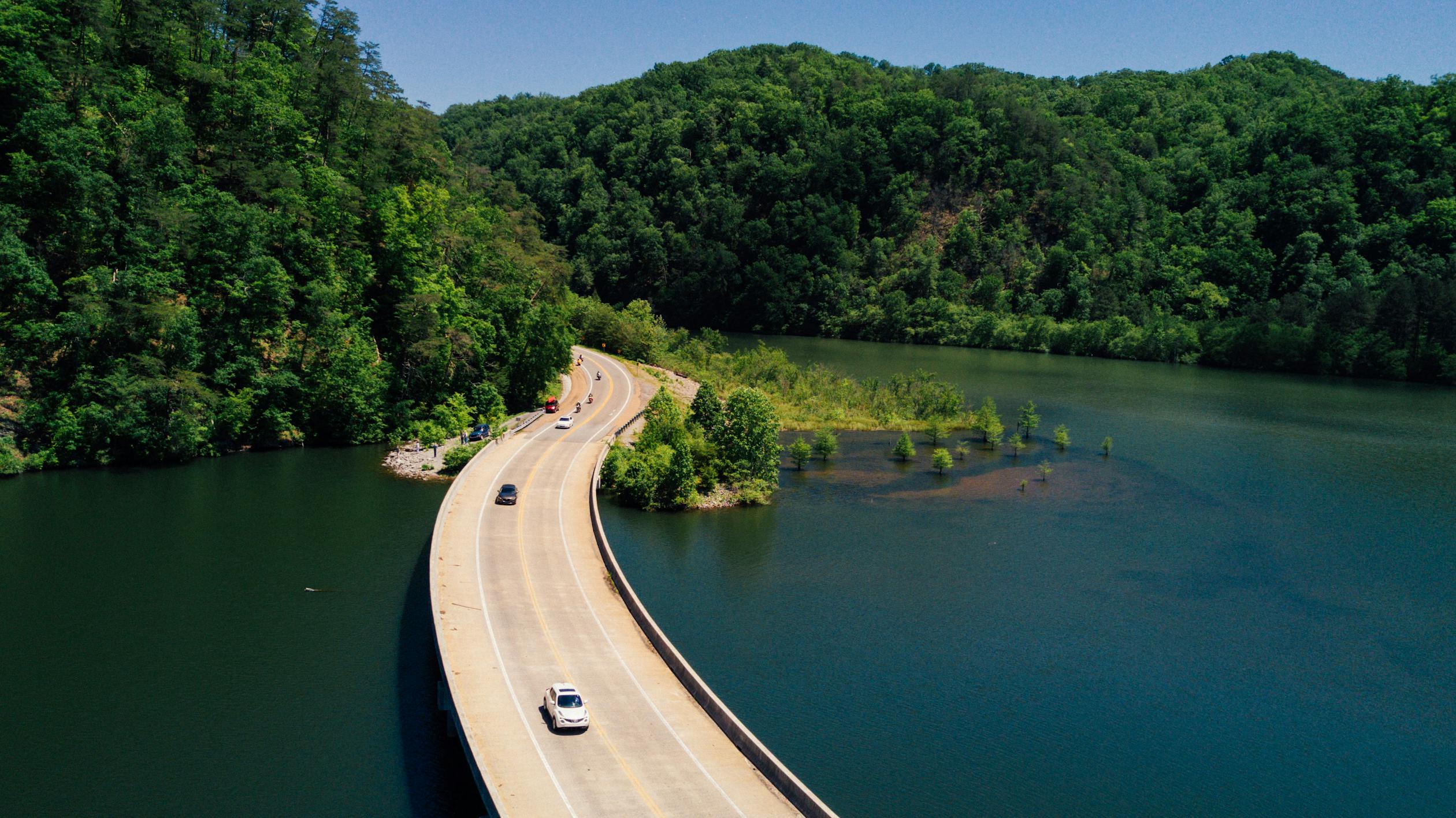 Concrete Road Bridge Near Trees · Free Stock Photo