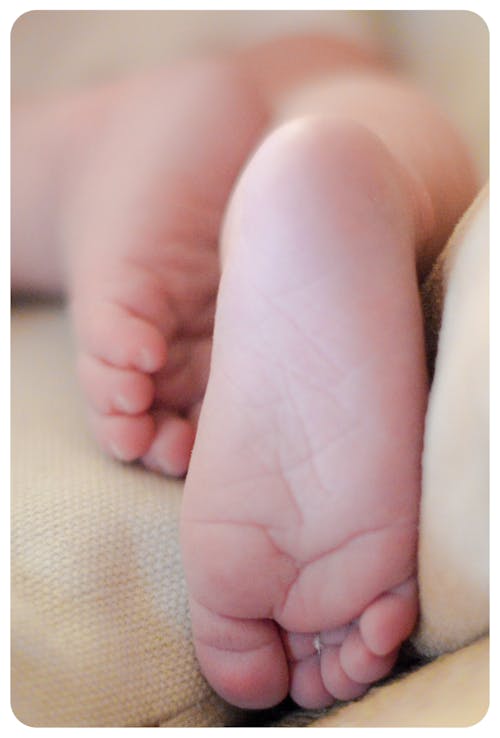 Kostnadsfri bild av bebis, fötter