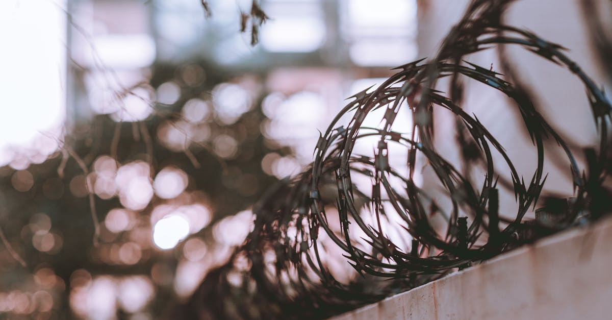 為什麼國防特別條例的審議對台灣未來至關重要?