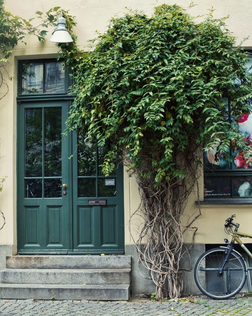 Free Green doors with climbing vines and a bicycle in urban Berlin setting. Stock Photo