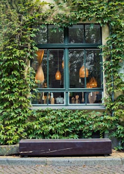 Clinging Plant at Wall of Building at Hackescher Markt in Berlin, Germany by Travel with  Lenses