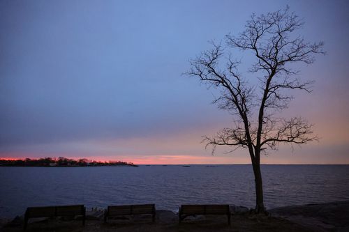 Free Serene view of Cove Island Park during twilight with a lone tree by the ocean shore in Stamford, CT. Stock Photo