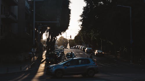 Free stock photo of cars, environment, evening